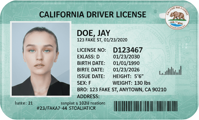 Driver license verification